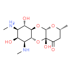 ChemSpider 2D Image | (2R,4aR,5aR,6S,7S,8R,9S,9aR,10aS)-4a,7,9-Trihydroxy-N,2-dimethyl-6-(methylamino)-4-oxodecahydro-2H-pyrano[2,3-b][1,4]benzodioxin-8-aminium | C14H25N2O7