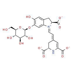 ChemSpider 2D Image | (2S,4E)-4-{(2E)-2-[(2S)-2-Carboxylato-6-(beta-D-glucopyranosyloxy)-5-hydroxy-2,3-dihydro-1H-indolium-1-ylidene]ethylidene}-1,2,3,4-tetrahydro-2,6-pyridinedicarboxylate | C24H24N2O13