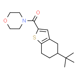 ChemSpider 2D Image | [5-(2-Methyl-2-propanyl)-4,5,6,7-tetrahydro-1-benzothiophen-2-yl](4-morpholinyl)methanone | C17H25NO2S