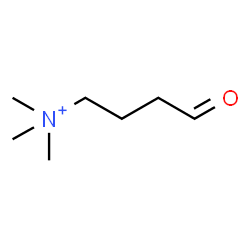 ChemSpider 2D Image | Î³-Trimethylaminobutyraldehyde | C7H16NO