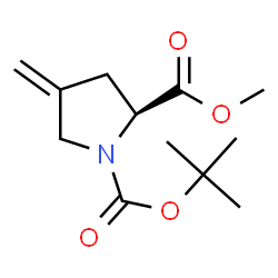 ChemSpider 2D Image | (S)-1-tert-butyl 2-methyl 4-methylenepyrrolidine-1,2-dicarboxylate | C12H19NO4