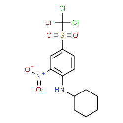 ChemSpider 2D Image | 4-{[Bromo(dichloro)methyl]sulfonyl}-N-cyclohexyl-2-nitroaniline | C13H15BrCl2N2O4S