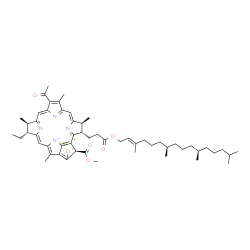 ChemSpider 2D Image | Magnesium (3S,4S,13R,14R,21R)-9-acetyl-14-ethyl-21-(methoxycarbonyl)-4,8,13,18-tetramethyl-3-(3-oxo-3-{[(2E,7R,11R)-3,7,11,15-tetramethyl-2-hexadecen-1-yl]oxy}propyl)-23,25-didehydro-4,13,14,21-tetrah
ydro-3H-phorbin-23-id-20-olate | C55H74MgN4O6