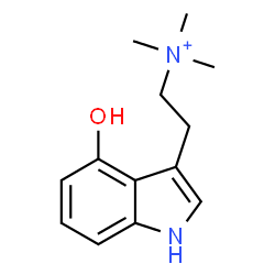 ChemSpider 2D Image | 2-(4-Hydroxy-1H-indol-3-yl)-N,N,N-trimethylethanaminium | C13H19N2O