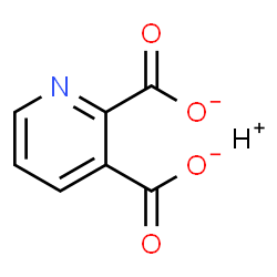 ChemSpider 2D Image | 2-Carboxynicotinatato | C7H4NO4