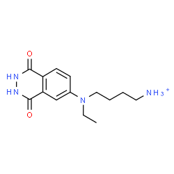 ChemSpider 2D Image | 4-[(1,4-Dioxo-1,2,3,4-tetrahydro-6-phthalazinyl)(ethyl)amino]-1-butanaminium | C14H21N4O2