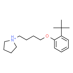 ChemSpider 2D Image | 1-{4-[2-(2-Methyl-2-propanyl)phenoxy]butyl}pyrrolidinium | C18H30NO