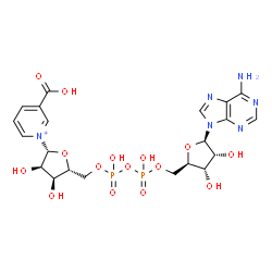 ChemSpider 2D Image | 1-[(2R,3R,4S,5R)-5-[[[[(2R,3S,4R,5R)-5-(6-aminopurin-9-yl)-3,4-dihydroxy-tetrahydrofuran-2-yl]methoxy-hydroxy-phosphoryl]oxy-hydroxy-phosphoryl]oxymethyl]-3,4-dihydroxy-tetrahydrofuran-2-yl]pyridin-1-ium-3-carboxylic acid | C21H27N6O15P2