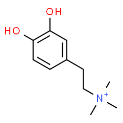 ChemSpider 2D Image | Coryneine | C11H18NO2