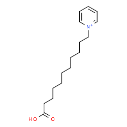 ChemSpider 2D Image | 1-(10-Carboxydecyl)pyridinium | C16H26NO2