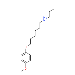 ChemSpider 2D Image | N-Butyl-6-(4-methoxyphenoxy)-1-hexanaminium | C17H30NO2