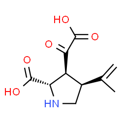 ChemSpider 2D Image | (3S,4S)-3-(Carboxycarbonyl)-4-isopropenyl-L-proline | C10H13NO5