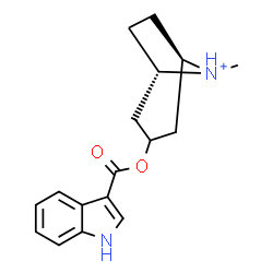 ChemSpider 2D Image | (1R,5S)-3-[(1H-Indol-3-ylcarbonyl)oxy]-8-methyl-8-azoniabicyclo[3.2.1]octane | C17H21N2O2