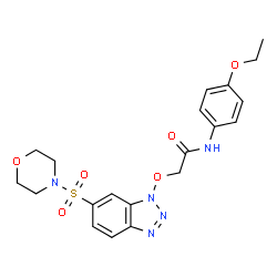ChemSpider 2D Image | N-(4-Ethoxyphenyl)-2-{[6-(4-morpholinylsulfonyl)-1H-benzotriazol-1-yl]oxy}acetamide | C20H23N5O6S