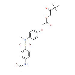 ChemSpider 2D Image | 3,3-Dimethyl-2-oxobutyl (4-{[(4-acetamidophenyl)sulfonyl](methyl)amino}phenoxy)acetate | C23H28N2O7S