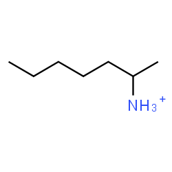 ChemSpider 2D Image | 2-Heptanaminium | C7H18N