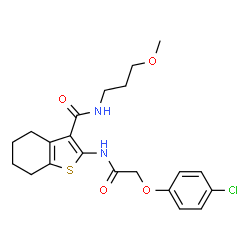 ChemSpider 2D Image | 2-{[(4-Chlorophenoxy)acetyl]amino}-N-(3-methoxypropyl)-4,5,6,7-tetrahydro-1-benzothiophene-3-carboxamide | C21H25ClN2O4S
