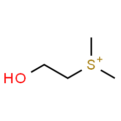 ChemSpider 2D Image | (2-Hydroxyethyl)dimethylsulfonium | C4H11OS