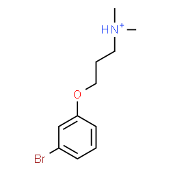 ChemSpider 2D Image | 3-(3-Bromophenoxy)-N,N-dimethyl-1-propanaminium | C11H17BrNO