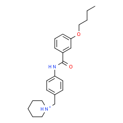 ChemSpider 2D Image | 1-{4-[(3-Butoxybenzoyl)amino]benzyl}piperidinium | C23H31N2O2