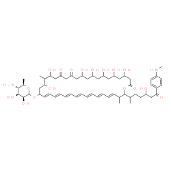 ChemSpider 2D Image | (4E,6E,8E,10E,12E,14E,16E)-20,22,28,30,32,34,36-Heptahydroxy-2-{5-hydroxy-7-[4-(methylamino)phenyl]-7-oxoheptan-2-yl}-3,21-dimethyl-24,26,38-trioxooxacyclooctatriaconta-4,6,8,10,12,14,16-heptaen-18-yl 4-amino-4,6-dideoxy-D-mannopyranoside | C59H88N2O17