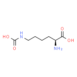 ChemSpider 2D Image | N~6~-Carboxy-L-lysine | C7H14N2O4