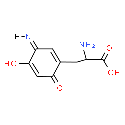 ChemSpider 2D Image | 3-[(3Z)-4-Hydroxy-3-imino-6-oxo-1,4-cyclohexadien-1-yl]-L-alanine | C9H10N2O4