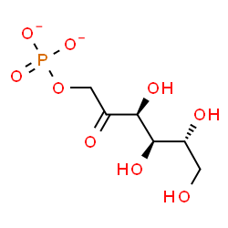 ChemSpider 2D Image | 1-O-phosphonato-D-fructose dianion | C6H11O9P