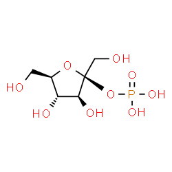 ChemSpider 2D Image | beta-D-fructofuranose 2-phosphate | C6H13O9P
