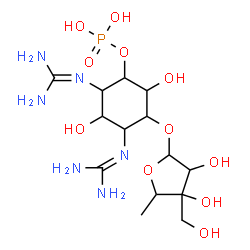 ChemSpider 2D Image | 3-{[5-Deoxy-3-C-(hydroxymethyl)pentofuranosyl]oxy}-4,6-bis[(diaminomethylene)amino]-2,5-dihydroxycyclohexyl dihydrogen phosphate | C14H29N6O11P