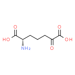 ChemSpider 2D Image | (S)-2-amino-6-oxopimelic acid | C7H11NO5