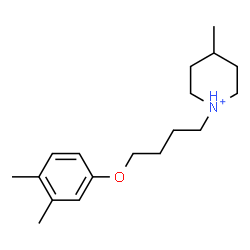 ChemSpider 2D Image | 1-[4-(3,4-Dimethylphenoxy)butyl]-4-methylpiperidinium | C18H30NO