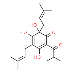 ChemSpider 2D Image | 3,5,6-Trihydroxy-2-isobutyryl-4,6-bis(3-methyl-2-buten-1-yl)-2,4-cyclohexadien-1-one | C20H28O5