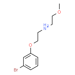 ChemSpider 2D Image | 2-(3-Bromophenoxy)-N-(2-methoxyethyl)ethanaminium | C11H17BrNO2