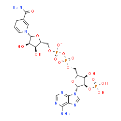 ChemSpider 2D Image | [[(2R,3R,4R,5R)-5-(6-aminopurin-9-yl)-3-hydroxy-4-phosphonooxy-tetrahydrofuran-2-yl]methoxy-oxido-phosphoryl] [(2R,3S,4R,5R)-5-(3-carbamoyl-4H-pyridin-1-yl)-3,4-dihydroxy-tetrahydrofuran-2-yl]methyl phosphate | C21H28N7O17P3