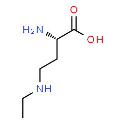 ChemSpider 2D Image | (2S)-2-Amino-4-(ethylamino)butanoic acid | C6H14N2O2