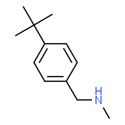 ChemSpider 2D Image | N-(4-tert-butylbenzyl)-N-methylamine | C12H19N
