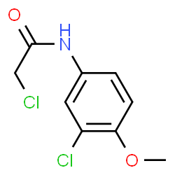 ChemSpider 2D Image | 2-Chloro-N-(3-chloro-4-methoxyphenyl)acetamide | C9H9Cl2NO2