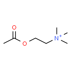 ChemSpider 2D Image | O-Acetylcholine | C7H16NO2
