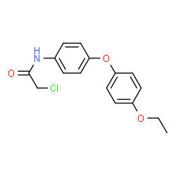 ChemSpider 2D Image | 2-Chloro-N-[4-(4-ethoxyphenoxy)phenyl]acetamide | C16H16ClNO3