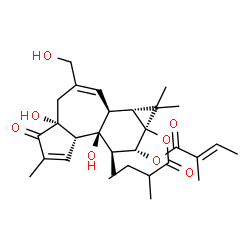ChemSpider 2D Image | (1aR,1bS,4aR,7aS,7bS,8R,9R,9aS)-4a,7b-Dihydroxy-3-(hydroxymethyl)-1,1,6,8-tetramethyl-9a-[(2-methylbutanoyl)oxy]-5-oxo-1a,1b,4,4a,5,7a,7b,8,9,9a-decahydro-1H-cyclopropa[3,4]benzo[1,2-e]azulen-9-yl (2E
)-2-methyl-2-butenoate | C30H42O8