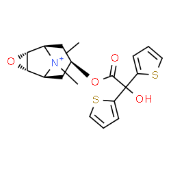 ChemSpider 2D Image | (1R,2R,4S,5S,7s)-7-[2-Hydroxy(di-2-thienyl)acetoxy]-9,9-dimethyl-3-oxa-9-azoniatricyclo[3.3.1.0~2,4~]nonane | C19H22NO4S2