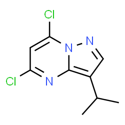 ChemSpider 2D Image | 5,7-Dichloro-3-isopropylpyrazolo[1,5-a]pyrimidine | C9H9Cl2N3