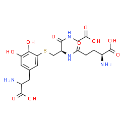 ChemSpider 2D Image | L-gamma-Glutamyl-S-[5-(2-amino-2-carboxyethyl)-2,3-dihydroxyphenyl]-L-cysteinylglycine | C19H26N4O10S