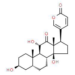 ChemSpider 2D Image | Arenobufagin | C24H32O6