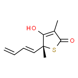 ChemSpider 2D Image | (5R)-5-[(1E)-BUTA-1,3-DIENYL]-4-HYDROXY-3,5-DIMETHYLTHIOPHEN-2(5H)-ONE | C10H12O2S