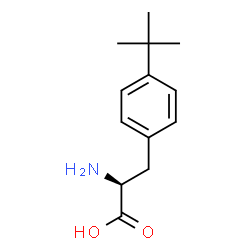 ChemSpider 2D Image | L-4-tBu-Phe-OH | C13H19NO2