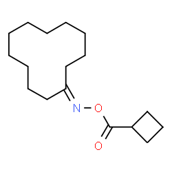 ChemSpider 2D Image | Cyclobutyl[(cyclododecylideneamino)oxy]methanone | C17H29NO2