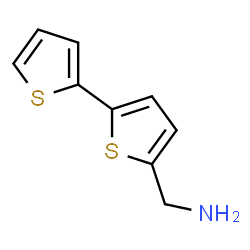 ChemSpider 2D Image | 1-(2,2'-Bithiophen-5-yl)methanamine | C9H9NS2