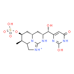 ChemSpider 2D Image | (3R,4S,5aS,7R)-7-[(S)-(2,6-Dioxo-1,2,3,6-tetrahydro-4-pyrimidinyl)(hydroxy)methyl]-3-methyl-4-(sulfooxy)-2,2a,3,4,5,5a,6,7-octahydro-1H-8,8b-diaza-1-azoniaacenaphthylene | C15H22N5O7S